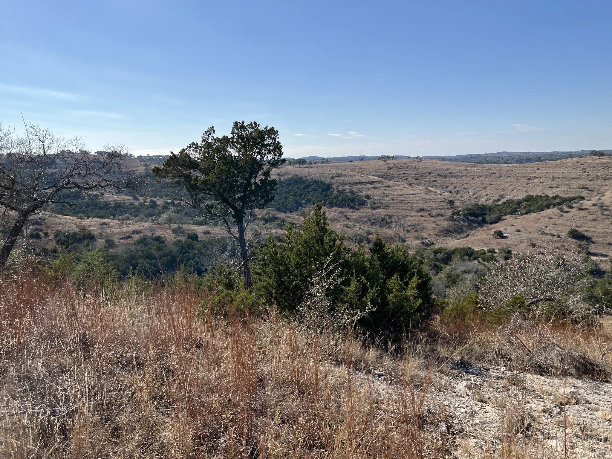 An open view across rolling Hill Country from the property